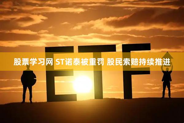 股票学习网 ST诺泰被重罚 股民索赔持续推进