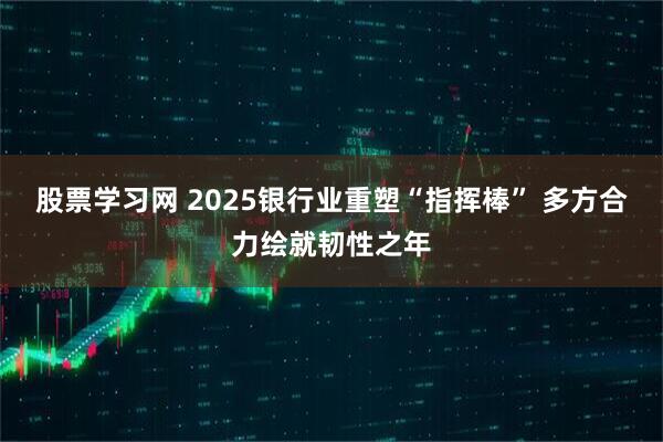 股票学习网 2025银行业重塑“指挥棒” 多方合力绘就韧性之年