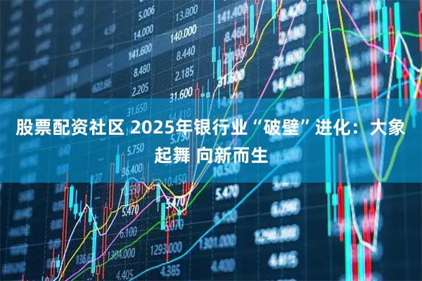 股票配资社区 2025年银行业“破壁”进化：大象起舞 向新而生